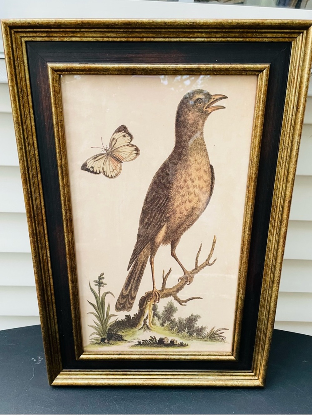 Vintage style Bird and butterfly Wall Art Print in Brown and Gold Frame